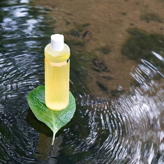 Shampoo Hidratante KABOSU